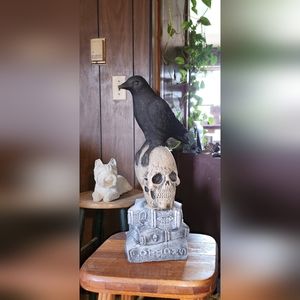 Raven/skull decor